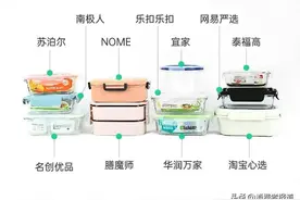 11款饭盒测评报告：乐扣乐扣检出塑化剂图片