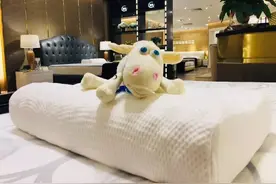 给娃选枕头，要做哪些功课？图片