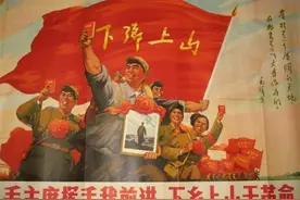 李庆霖给毛主席写信诉苦，反映知青的经济窘境，毛主席：统筹解决图片