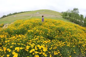 阳光鲜花沙滩海边，假装自己在三亚，其实就在北京这个免费公园图片