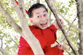4日游宣告下映，六小龄童新片分账票房出炉，白鹿影业亏个底朝天图片