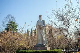 《红楼梦》里一首经典的词，道尽了心酸和无奈，真可谓是人生如梦图片