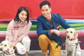 盘点TVB低调好剧，看硬汉黄浩然谈情，看视帝陈豪守护盲人女友图片