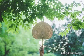 宁静的夏天图片