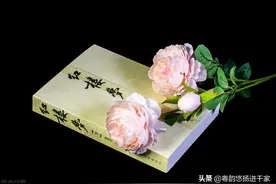僧俗共对心灵相通—粤曲《红楼梦之踏雪寻梅》视频与简谱图片