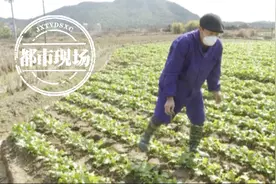 景德镇乐平：六旬老汉特殊“小菜摊”新鲜蔬菜免费拿图片