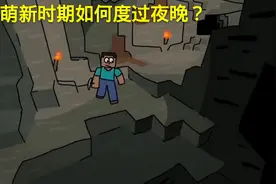我的世界：看似傻傻的七种过夜行为，玩家们都用过，老mc也不例外图片