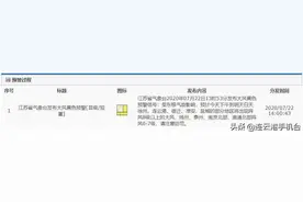 八级大风！连云港市区一颗大树被连根拔起，砸中路边车辆图片