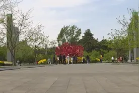 长春这里牡丹花开正当时 错过等一年图片
