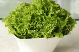 生菜的营养价值，减肥期间多吃有什么好处图片