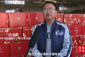 中国电信：打造“天虎云商”电商扶贫模式视频封面