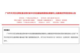 被称为“广州第一村”的龙洞，终于要改了？又是央企的菜？图片