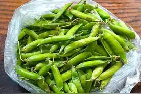 青豌豆正当时，趁着实惠多买点，这样储存起来更新鲜，够吃一年图片