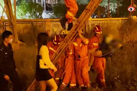 福建厦门一女子醉酒爬电塔，获救后被抬上警车图片