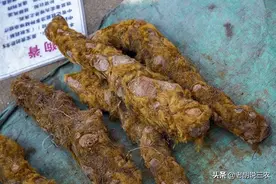 农村俗语：“公牛情不发，‘狗脊’请到家”，是啥意思？图片