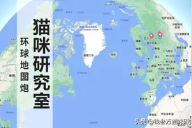 进口粮防坑指南2.0：环球地图炮，还原真实的进口粮现状图片