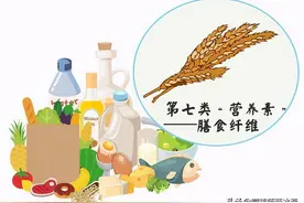 宝宝便秘？膳食纤维：肠道的动力之源 每天宝宝吃够了吗？图片