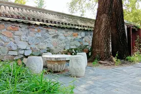 院子里种的树不能乱砍，轻则罚款，重则坐牢？图片