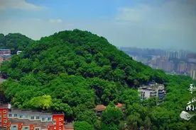 【故里故事】沙坪坝丨山洞街道：成渝古道 山上洞天图片