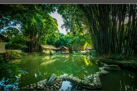 孔兴民｜成都的公园（组诗）图片