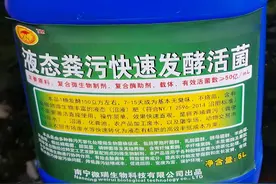 猪粪水直接浇地会烧苗烧根，你知道如何快速处理才能直接浇地吗？图片