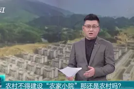 广西自治区出台规定：农村不得建设“农家小院” 那还是农村吗？视频封面