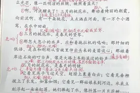 四年级语文下册，第4课《三月桃花水》知识点+课后同步练习~图片