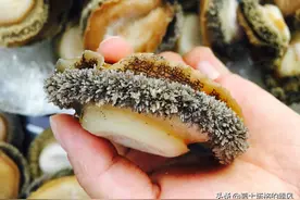 北方人说南方海鲜没味道，南方人嫌北方海鲜味重，到底哪个更好吃图片