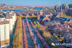 “瞰”！天津有条浪漫“樱花街”，足足一公里图片
