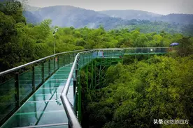 在竹尖上漫步是一种什么体验？短短四百米栈道收费40元值不值？图片