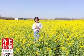 春天，在许昌美女的眼睛里图片