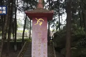 烈士陵园内的红军墓碑上党徽为何倒悬？图片