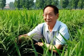 高知富商母亲的家庭教育，令袁隆平童年播下种子改变世界的梦想图片
