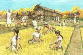 日本人或是中国汉族等东亚民族的后代？日本研究团队发表新研究图片