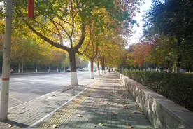 2035年郑州将从森林“绿城”变森林“绿都”，森林覆盖率达到36%以上图片