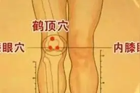 膝眼穴：活血通络，疏利关节「收藏版」图片