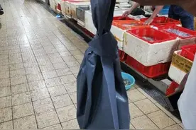 买鱼时为啥鱼贩子总用黑袋子装鱼，了解真相后，下次真的要注意了图片