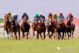 科右中旗即将有大事发生，千万别错过！图片
