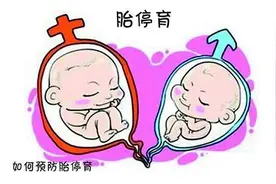 出现胎停育后怎么处理，胎停后多久备孕比较好，如何备孕？图片