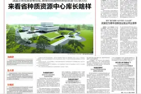 成都领衔 突围种业翻身仗｜还有这种操作？丝瓜苗上嫁接苦瓜，抗病高产还好吃图片