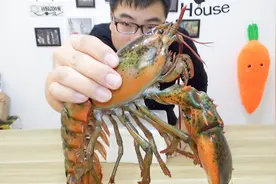 119块钱一只的“波士顿大龙虾”清蒸再配上蘸料，太好吃了！视频封面