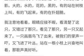 五年级语文《鸟的天堂》练习题图片