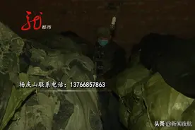 另类“水果” 你想吃吗？父亲：坏消息是家里只剩胡萝卜，好消息是胡萝卜有的是！图片