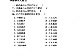 「国术」咏春拳—木人桩（上）图片