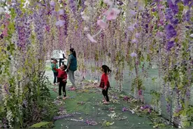 青山叠翠，泉水潺潺，果蔬飘香，罗定这里让你体验不一样的春意图片