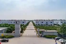 河南“康复器械大王”闯关科创板：曾涉两起行贿案件，实控人夫妇或成安阳首富图片