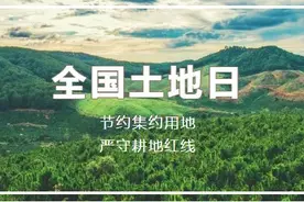 看崇明如何落实耕地保护!图片
