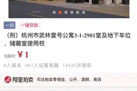 老牌豪宅武林壹号1元起拍，透露出财富的起落图片