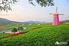 暑假亲子游好去处！科普、农事、研学……寓教于乐安排！图片