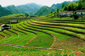 想要搞懂乡村振兴，不懂土地流转可不行图片